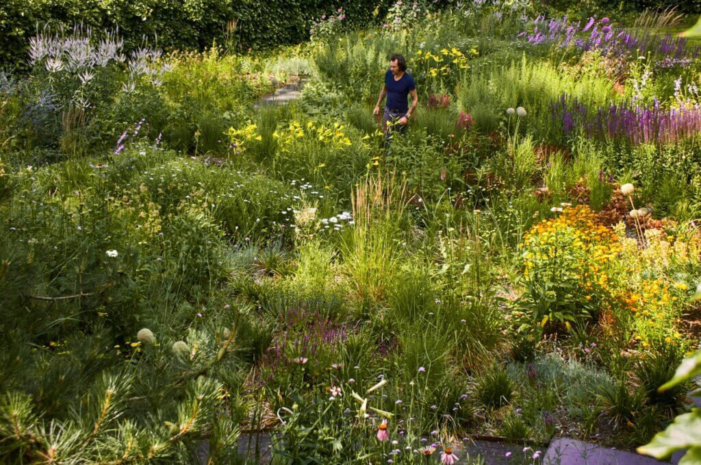 Le jardin de 25 000 plantes européennes d'Arne Quinze.