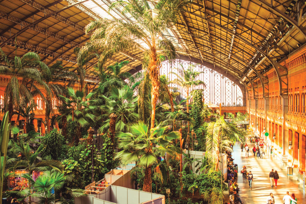 C'est un jardin tropical qui occup désormais le grand hall de la gare d'Atocha, à Madrid. © DR