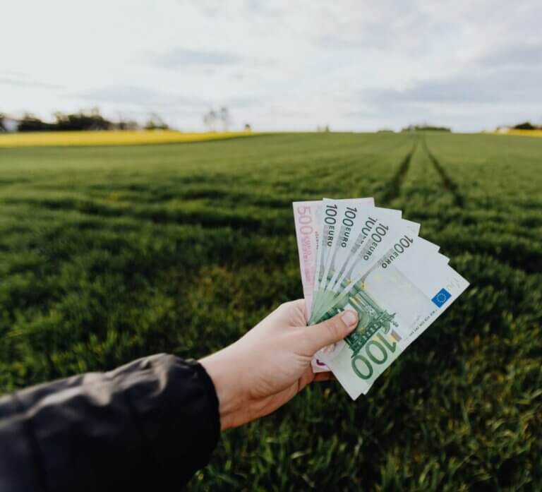 Investir dans la terre ?