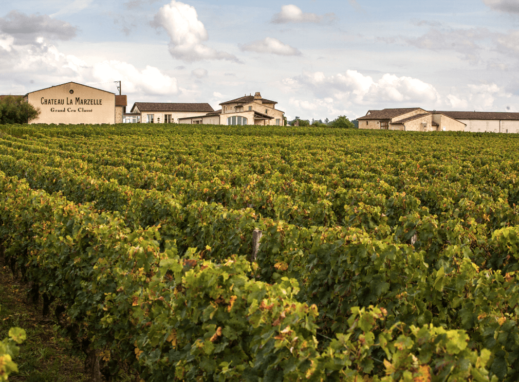 Le chai du château La Marzelle