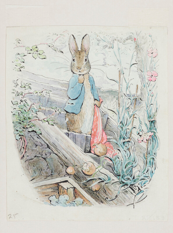Pierre Lapin, Beatrix Potter, aquarelle et crayon sur papier, 1904 © Tate