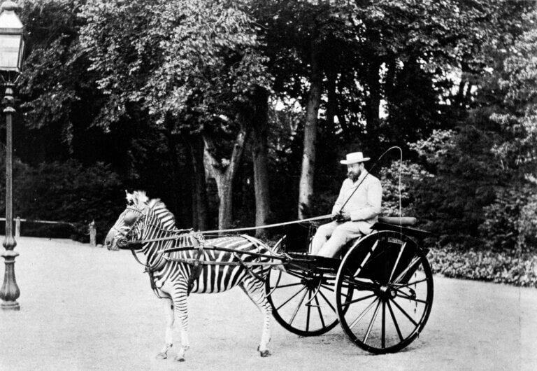 Lord Lionel Walter Rothschild (1868-1937) © DR
